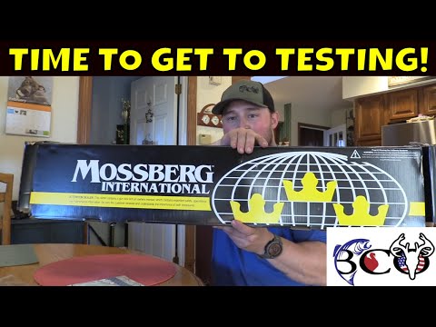 THE Mossberg SA 28 Complete Review - MUST WATCH SHOTGUN ANALYSIS!