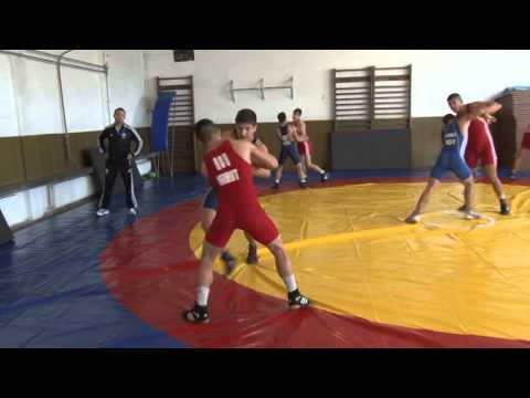 jurnal 11 12 2015 sp 1 lupte   bogdan burhan   anton arghira despre rezultatele lunii decembrie la l