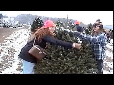 Buffalo Rose - Like The Movies (Official Music Video) [Original Christmas Song]