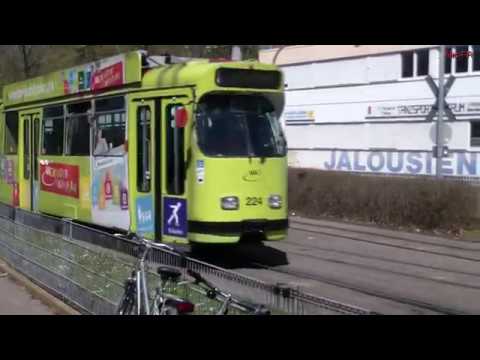 Freiburg-Landwasser. Moosweiher