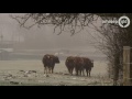 DIT IS MIJN GELDERLAND  2 februari 2017