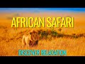 Peaceful African Safari With African Instrumental Music, Relaxing Music With African Wildlife