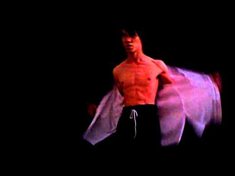 fast  punch.i am not  bruce lee (matin niroumand