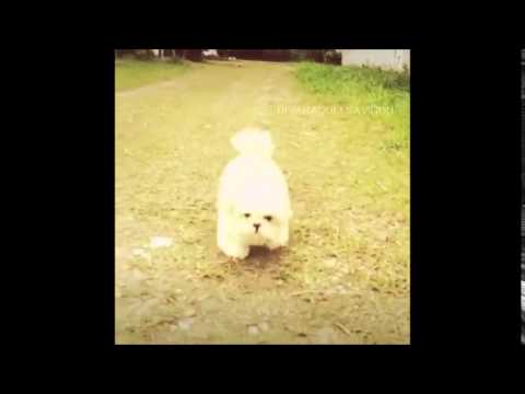 Raquel Savinon - Matando a saudade