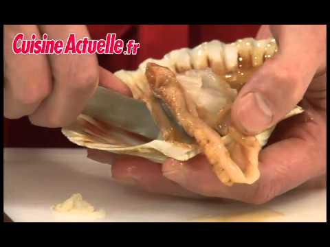 comment ouvrir st jacques
