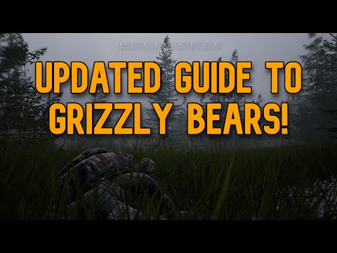 The UPDATED Grizzly Bear Guide - Hunting Simulator 2