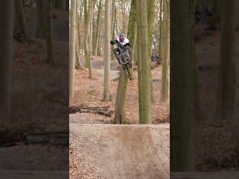 Flying High at Nutbush Forest | Freerider Nico #shorts