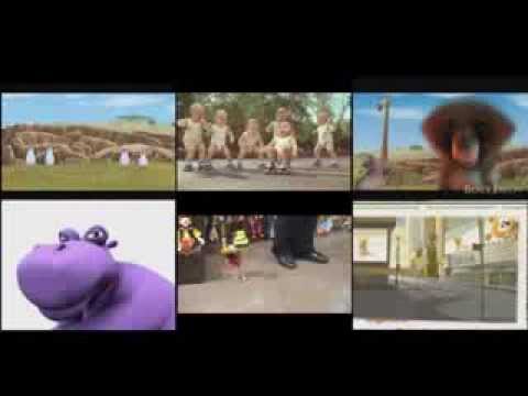 Shajka video