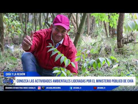 Siembra de arboles nativos en la vereda Tiquiza de Chía Cundinamarca