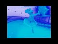 ChordCuations Videos Angelina Ballerina Intro In Chorded