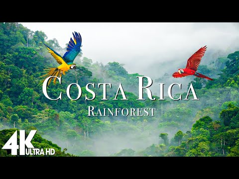 Costa Rica Rainforest 4k - Relaxing Music Along With Beautiful Nature Videos (4K Video Ultra HD)
