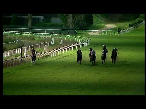 Napoli Galoppo 11/12/2021 - 6ª corsa