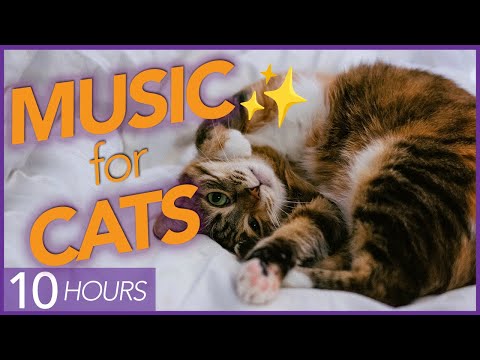[4K] EXTREME RELAXATION Music for Cats | Ultimate Relaxation 🎶🐱