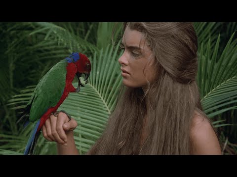 Blue Lagoon - Brooke Shields ( La Isla Bonita - Madonna )