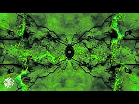 Hujaboy & Striders - Reptilian Face Clowns [Psychedelic Visuals]