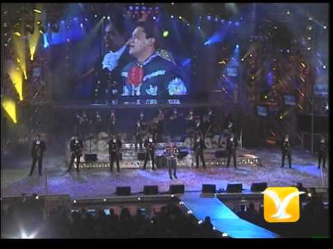 Pedro Fernandez, Yo no fui -  Mi forma de sentir, Festival de Viña 2001