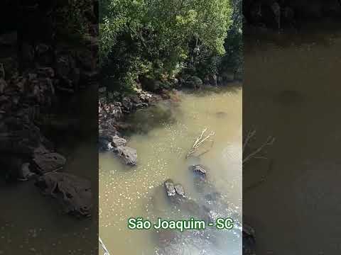 São Joaquim - SC #saojoaquimsc #santacatarinabrasil