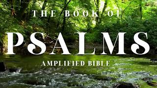 THE BOOK OF PSALMS - AMPLIFIED BIBLE - MEDITATE WORD OF GOD - BIBLE - RELAX