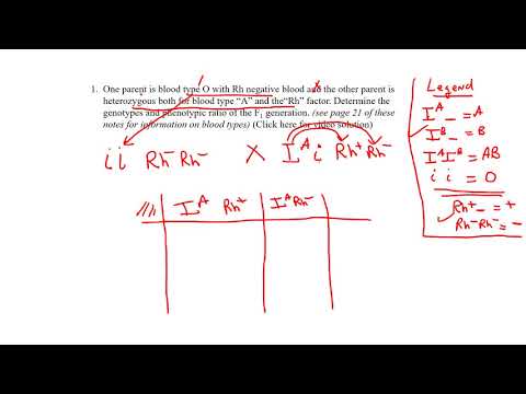 Practice Dihybrid Question 1 Pg 35