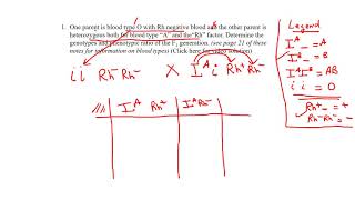 practice dihybrid question 1 pg 35