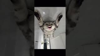 Download lagu sari rat soya nahi subha mujhe sone do''''''😁,,,,,,,,,,🤣*****😹.............#viral #funny#best#bestmo mp3