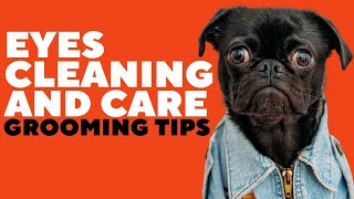 Holly&Hugo - Dog Grooming: Eyes cleaning and care - TASTER -