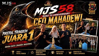 Download lagu 🏆 PASTOL TRAGEDI TAK TERBENDUNG! JUARA 1 Lawan Murai Batu Jawara Nasional mp3