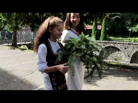 Расти мој зелени боре - ансамбл ,,Бранко" Лескивац