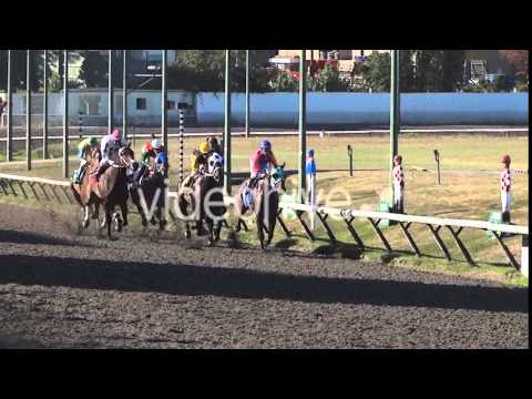 download lagu mp3 mp4 Horse Racing Clip Art Free Download, download mp3 Horse Racing Clip Art Free Download free download, download mp3 Horse Racing Clip Art Free Download