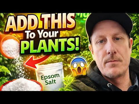 Epsom Salt for Plants: EXPLOSIVE Growth in 7 Days (1 Tbsp/Gallon Hack)