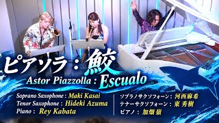 Download lagu ピアソラ : 鮫 Astor Piazzolla : Escualo saxophone duo and Piano mp3