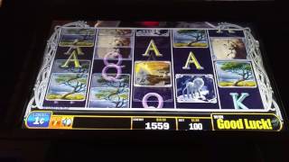 Live Play! White Lion slot machine at Empire City casino