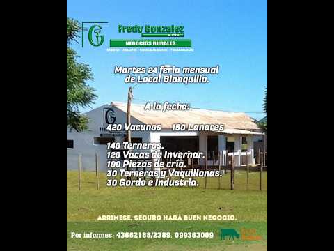 24/3/2026 Blanquillo - Durazno - Feria Mensual - Fredy González y Cía Ltda - Diego Prego