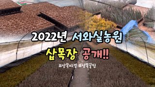 2022년 서와실농원 삽목장 공개!