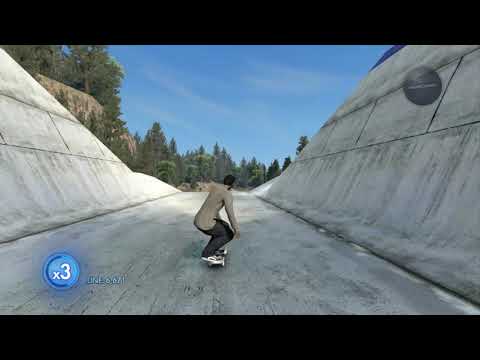 What 3000 hours of Skate 3 looks like