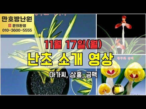 유튜브 썸네일