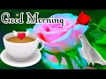 Good Morning Status Good Morning Poetry Good Morning Video Good Morning