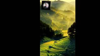 The life of mountainous village Vietnam || Vietnam life || mountainous people Life