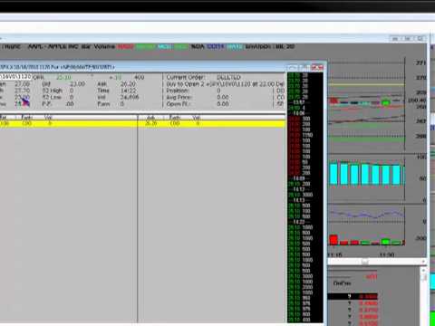 Put options on stock indexes