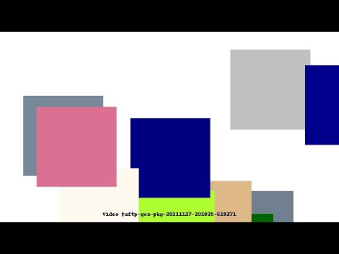 Video #sftp-gcs-pkg-20211127-201035-619271