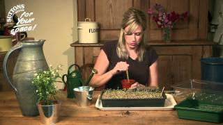 How to... Make the most of your small space garden: Patio Gardening