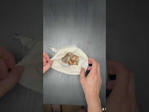 Boa unboxing 🐍 #boa #bci #snake #wildlife #boaconstrictor