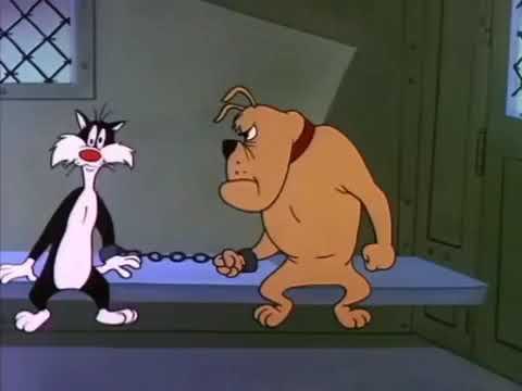 LOONEY TUNES | caricaturas animadas de ayer y hoy - los luchadores (Silvestre)  Español Latino