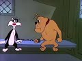 LOONEY TUNES Caricaturas Animadas De Ayer Y Hoy Los Luchadores Silvestre Español Latino