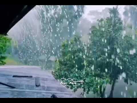June 19, 2021 #rain #nature #beauty