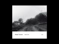 Four comets 1 Ralph Towner (Transcription)