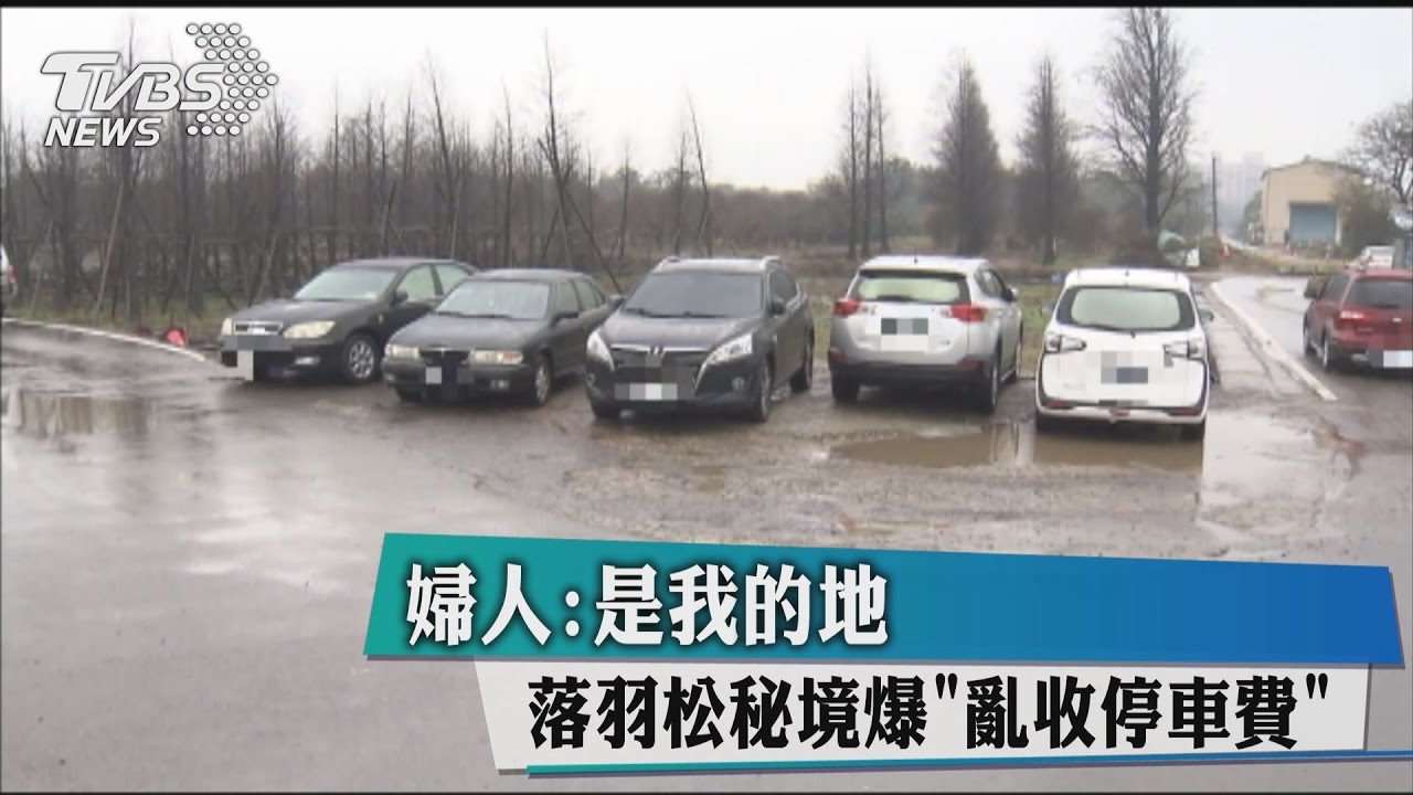 落羽松秘境爆亂收停車費 婦人:是我的地!