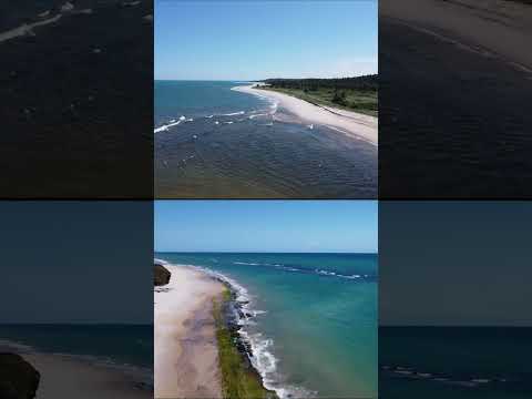 Dunas de Marapé - Jequiá da Praia, AL - #viagem #praia #mar #brasil #alagoas #dunasdemarape