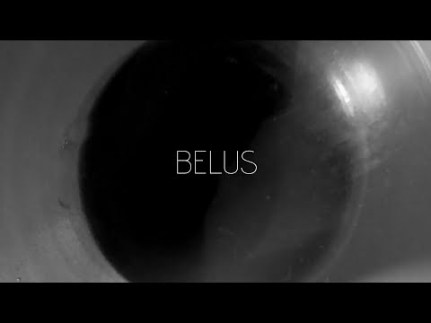 BELUS (2020)