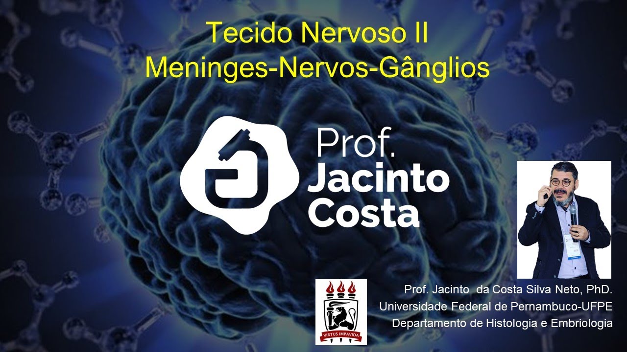 10 Tecido Nervoso II - Cérebro, Cerebelo, Meninges, Nervos e Gânglios
